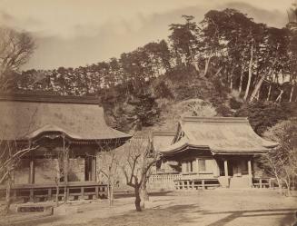 Trees on a Hill above a Temple