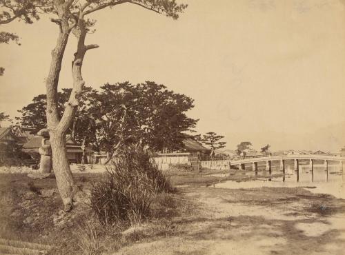 Town, Bridge, and Tree