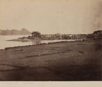 Ricefield and Village opposite Lighthouse Island