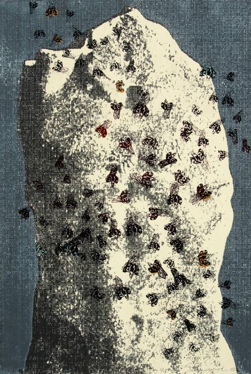 Laurie A. Corral