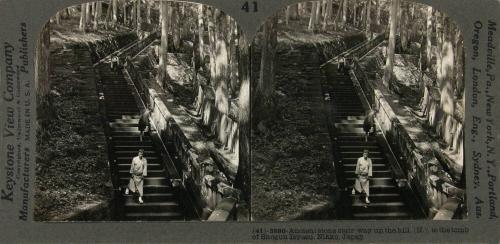 Ancient Stone Stairway up the Hill (N) to the Tomb of Shogun Iyeyasu, Nikko, Japan