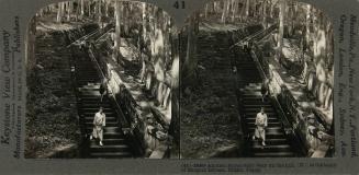 Ancient Stone Stairway up the Hill (N) to the Tomb of Shogun Iyeyasu, Nikko, Japan