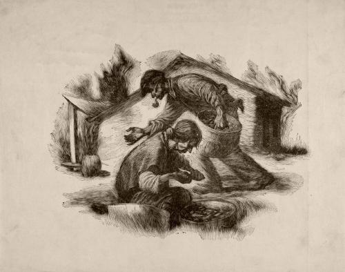 [Gathering and cutting chestnuts]