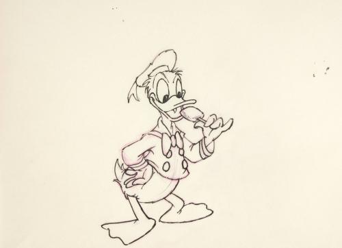 L96. Donald running (5)