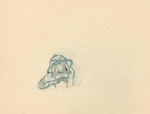 L114. Donald in safari gear (5)