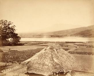 Farmhouse with Mount Fuji faintly seen in the background