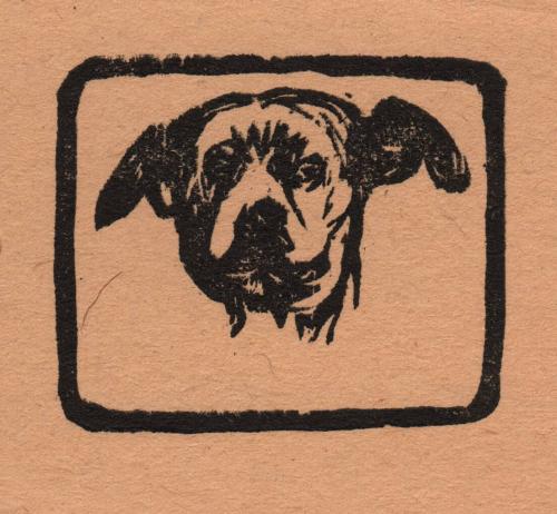 [Dog's head]