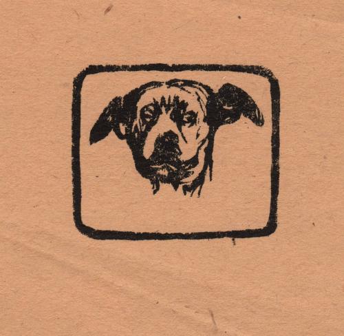 [Dog's head]