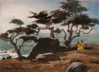 Monterey Cypress No. 2