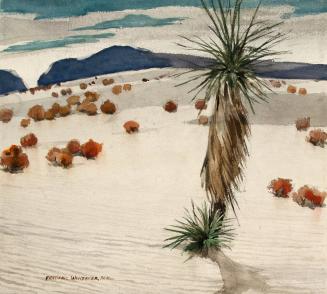 [Desert landscape]