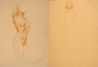 [Study, torso]