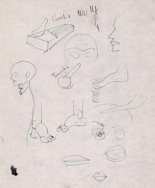 [Study of body parts]