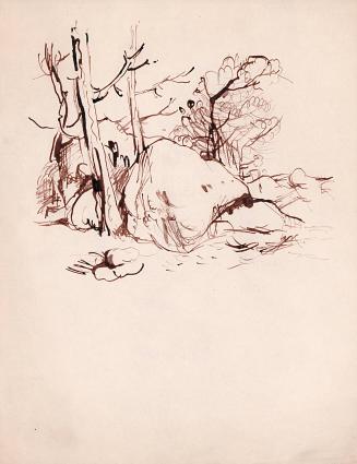 Study of landscape with boulders
