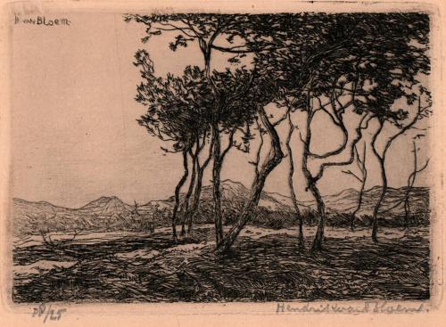 [Landscape with Trees]