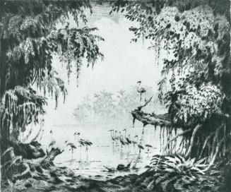 The Amazon