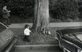 Little Girl Between Cars