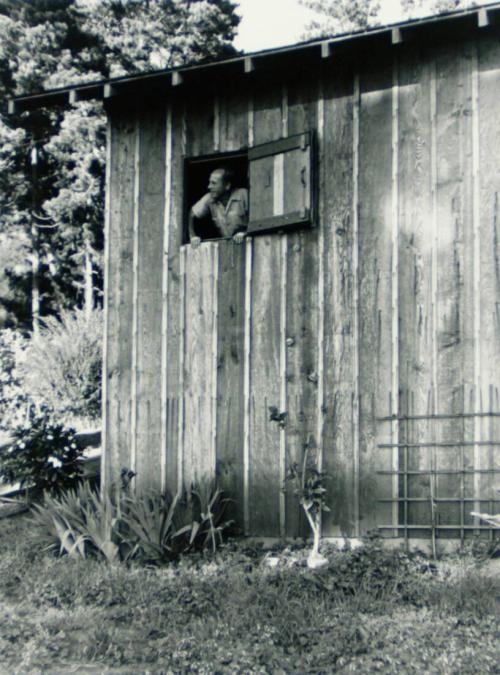 Edward Weston Looking Out of His Darkroom Window