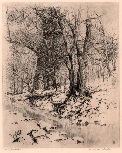 Woods in Winter