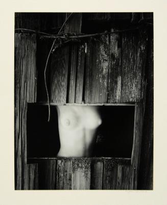 183A Torso in Window, 1954	