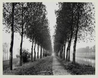 Liliane DeCock-Morgan