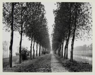 Trees and Canal, Near Damme, Belgium