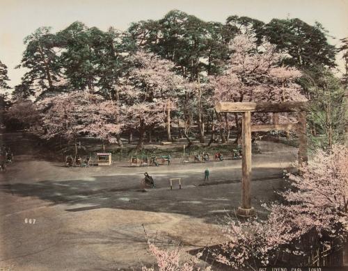 667. Uyeno Park - Tokio  (verso of 1996.0406)