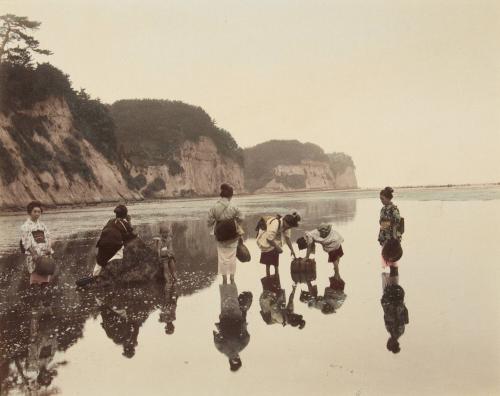 Picking up shells, near Yokohama