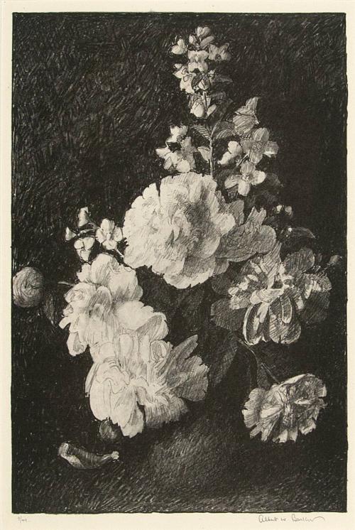 Floral Study