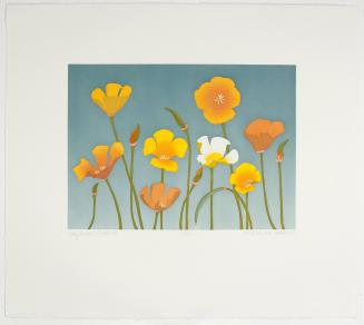 California Poppies