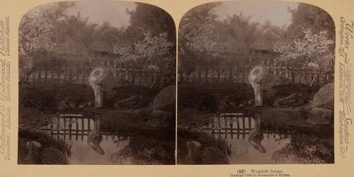 62. Wayside Scene