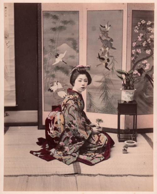 Woman with Bonsai Plant
