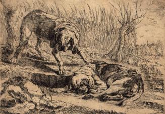 [Two hounds, one standing, one lying down]