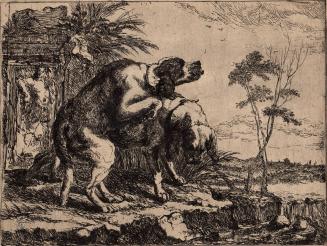 [Two spotted spaniels, one mounting the other]