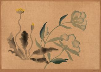 Dandelions and Flowers