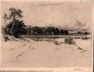 [Landscape with line of trees]