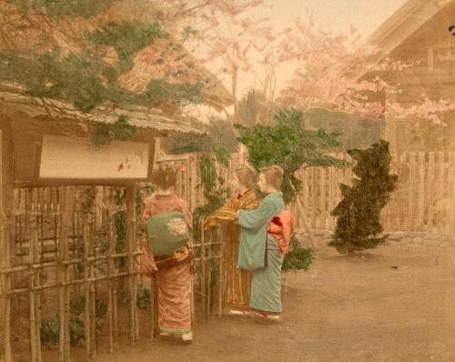 Cottage garden at Kamakura