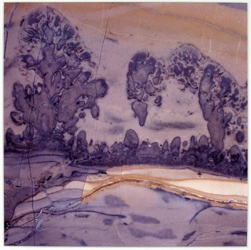 [Stromatolite]