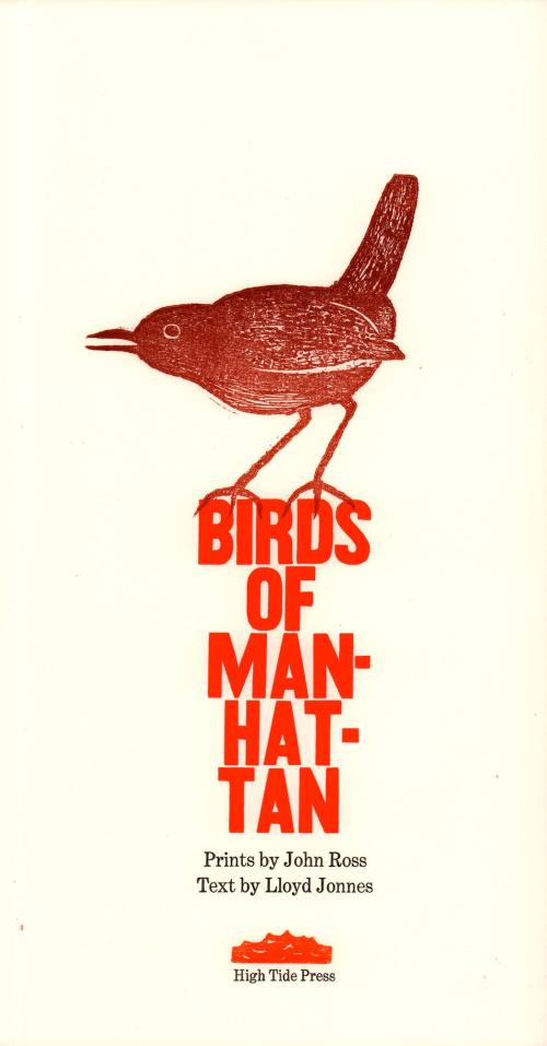 Birds of Manhattan