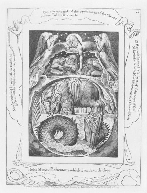 Behold now Behemoth which I have Made with Thee... (Behemoth and Leviathan)