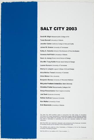 Salt City 2003 Portfolio