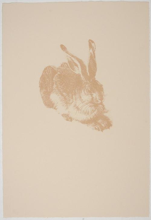 Poaching Durer’s Hare