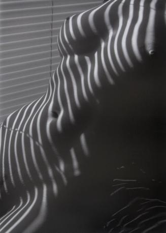 Zebra Nude, NYork, 2009