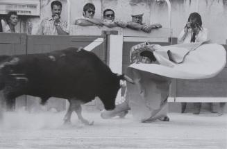 Matador Nimeño II (T) Nimes, 1982