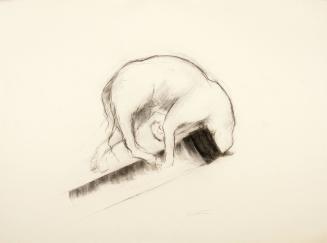 untitled [dog with head in tube/pipe]