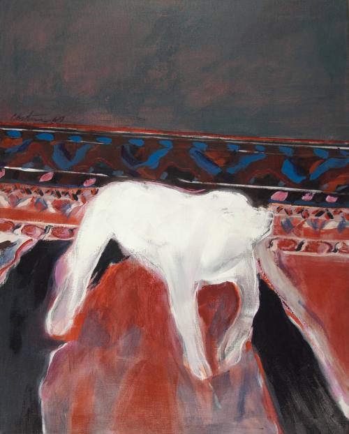 untitled [white dog]