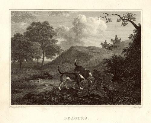 after Philip Reinagle