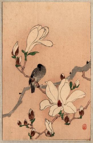 [Bird perched on flowering branch]