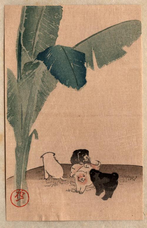 untitled [five kittens and palm leaves]