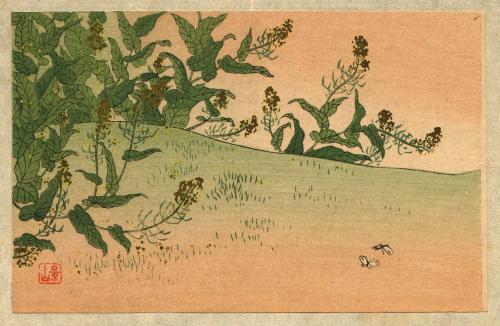 untitled [two white butterflies (or moths) flitting in landscape]