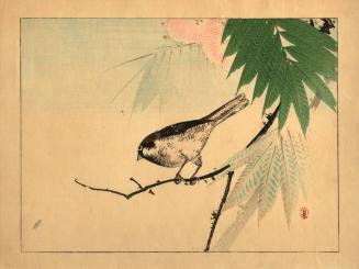 untitled [small bird (sparrow?) perched on a branch with small fly]